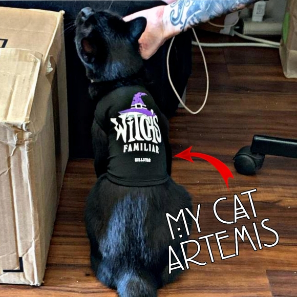 KILLSTAR | Witch's Familiar Cat or Dog Vest Black Purple Size: XXS